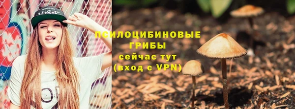 прущие крисы Алзамай